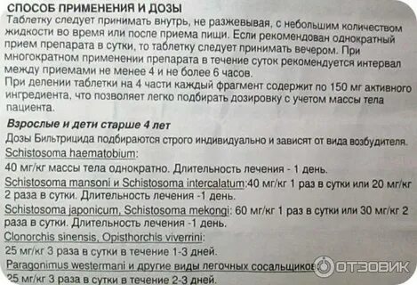 Бильтрицид как принимать взрослому