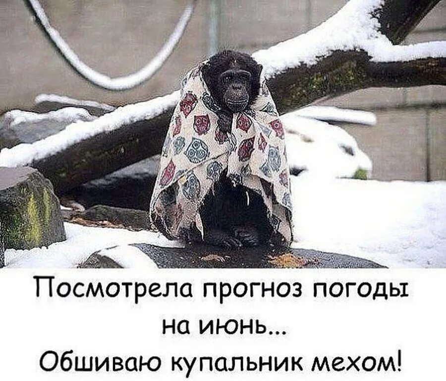 опять холодно. опять холодно. холодновато однако. скоро зима юмор. холодно на улице.