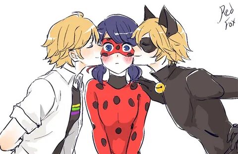 Lady bug and cat noir english