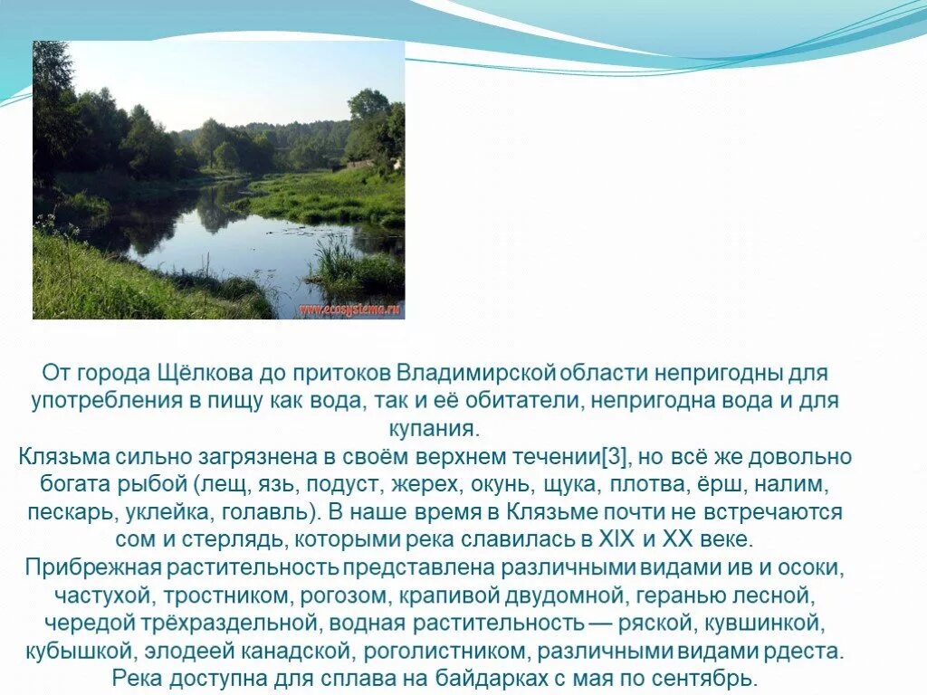 Водные богатства владимирской области. Рассказ о реке Владимирской области. Река Клязьма во Владимирской области. Доклад о реке Клязьма 2 класс. Река Клязьма во Владимирской области доклад для 4 класса.