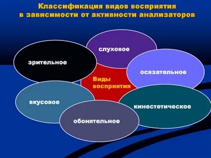 Выделяют восприятие