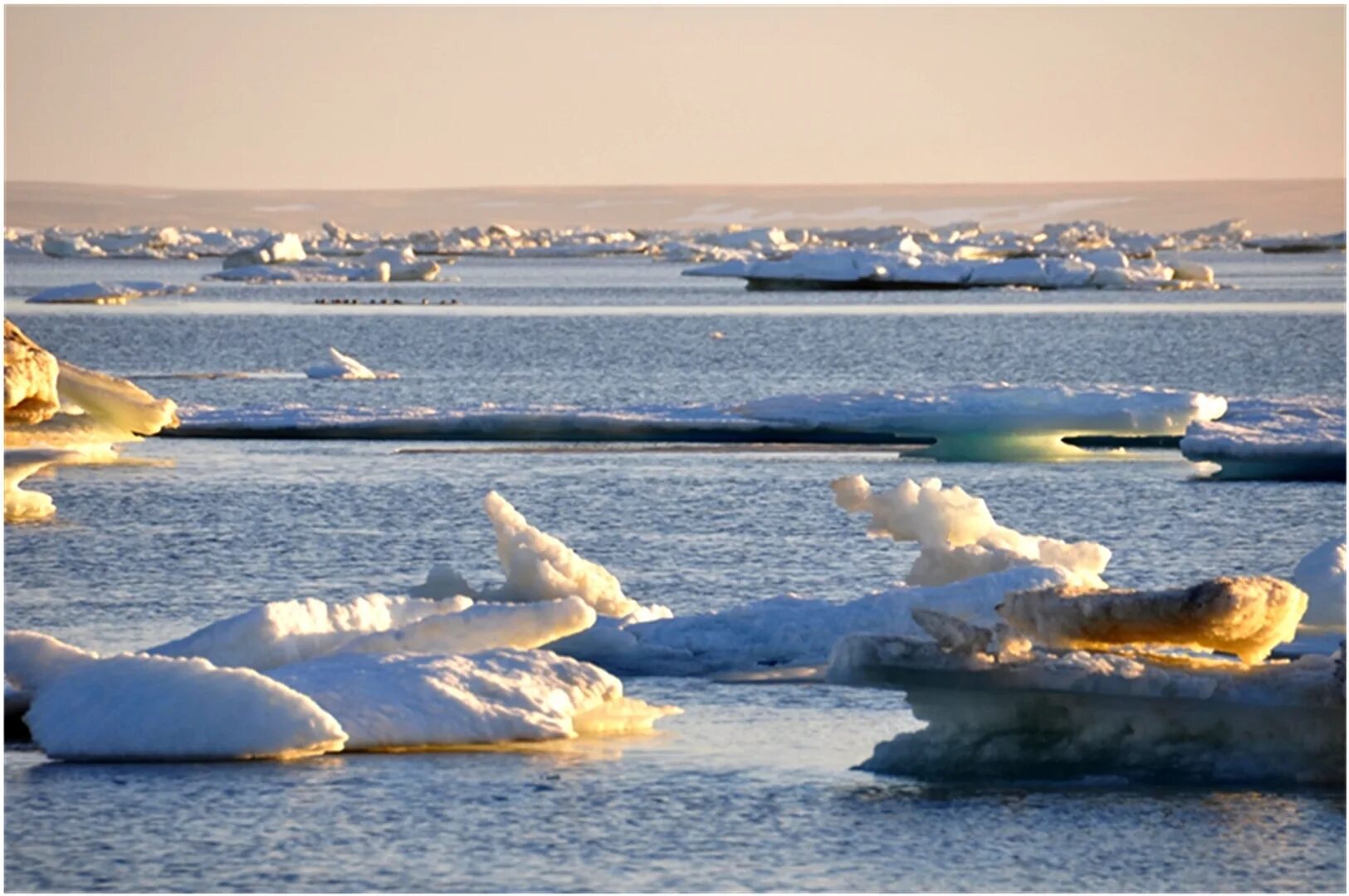 Карское море. Баренцево море льды. Самолет Карское море. Арктика Баренцево море.