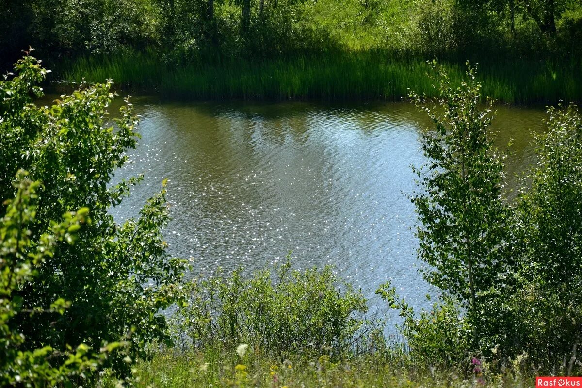 деревня бураково тульская область. вода ясногорск. вода ясногорск. вода ясногорск. ясногорский район тульской области деревня глазово.