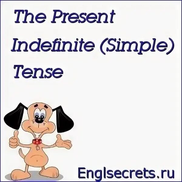 The present simple indefinite tense