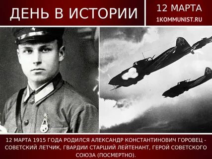 Летчик курских