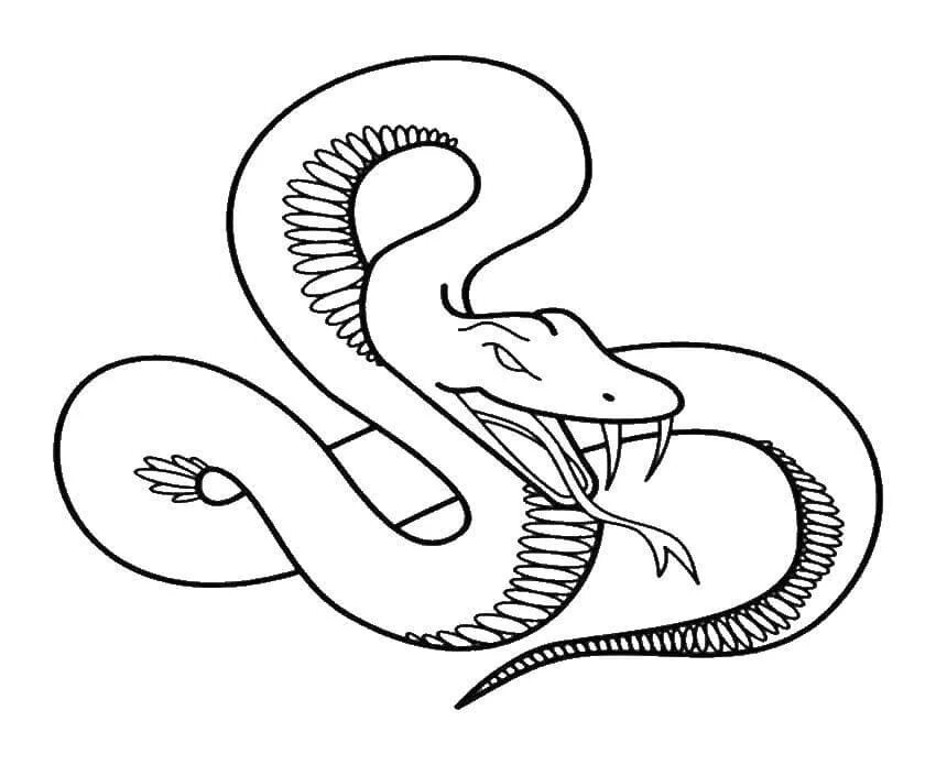 Раскраски змей распечатать. Змея раскраска. Раскраска змеи для детей. Раскраска о змеях. Змея раскраска для детей.
