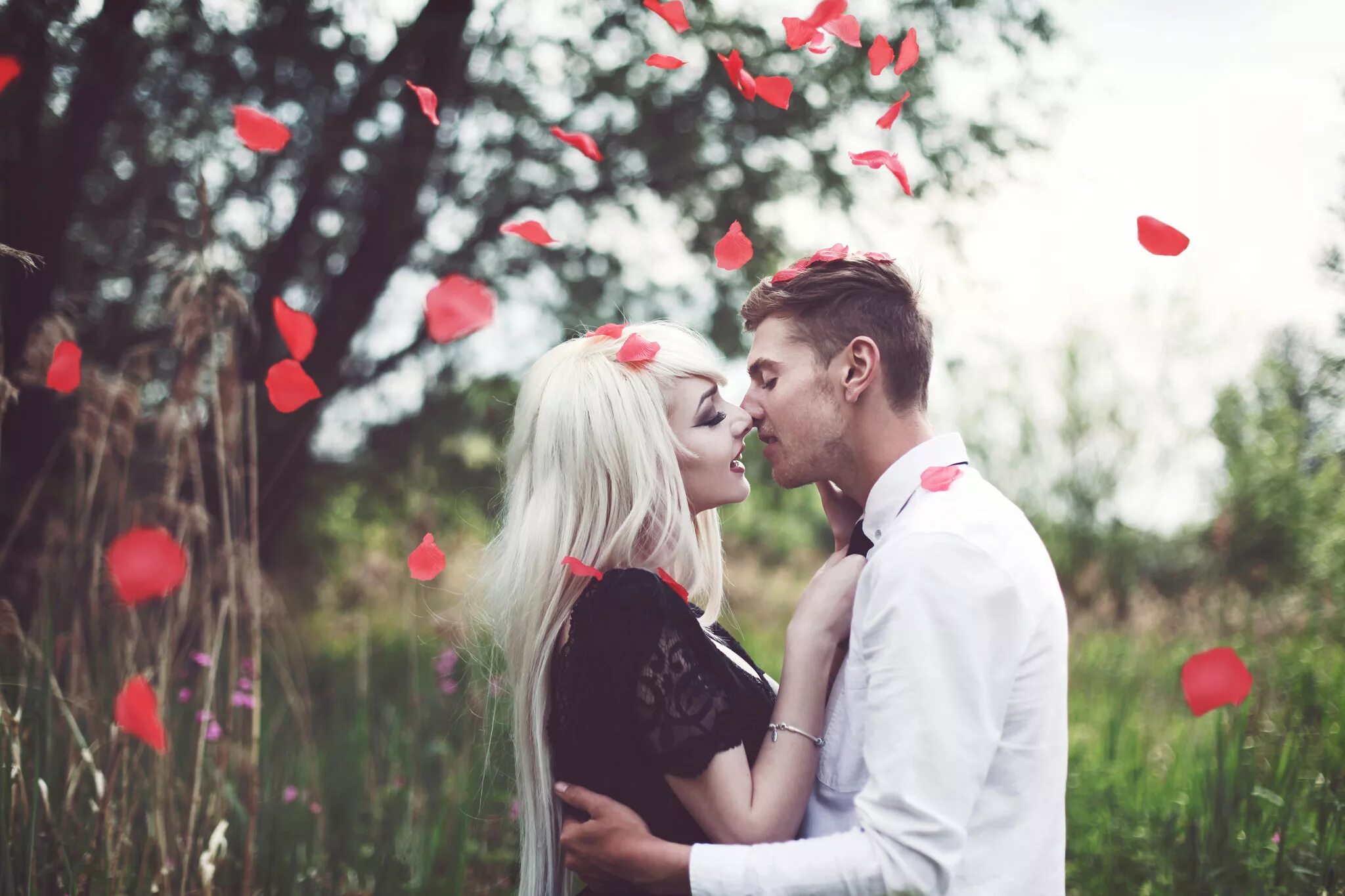 Поцелуй эти лепестки моей любимой. Красивые пары влюбленных. Фотосессия влюбленных. Романтичная фотосессия с цветами. Романтическая девушка.