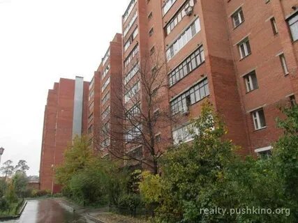 Пушкино московский 14