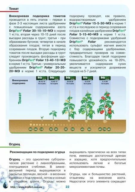 Подкормка томатов какие удобрения и когда использовать. Схема удобрения для помидор в теплице. схема подкормки томатов в теплице из поликарбоната. схема удобрения рассады томатов. внекорневые подкормки томатов схема.