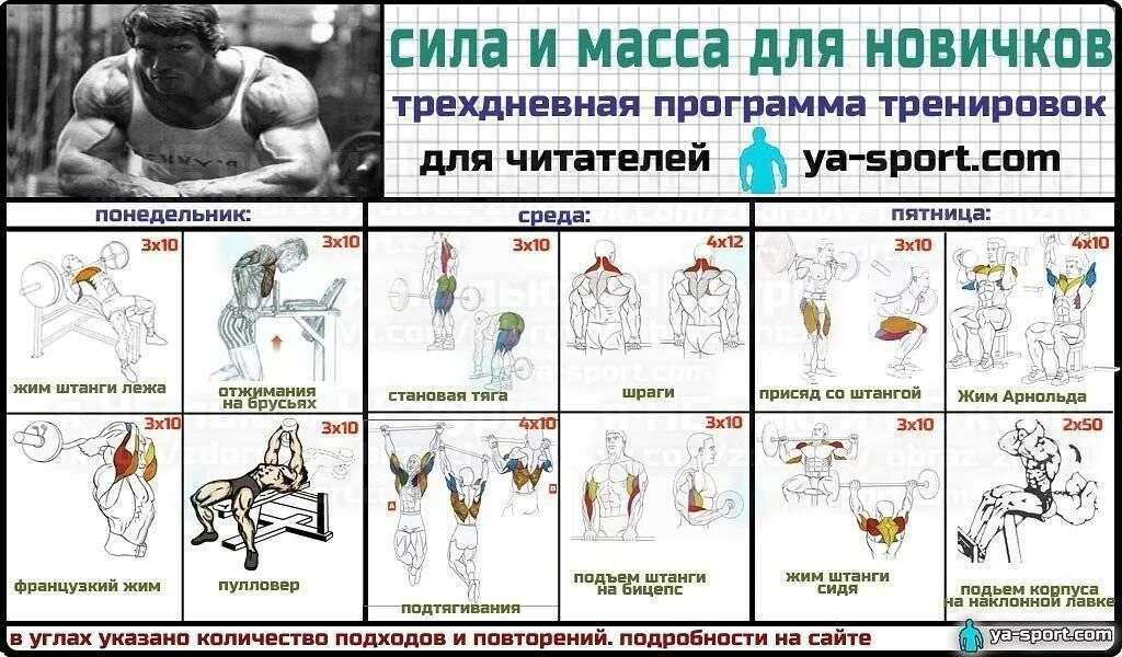 Как распределить группы мышц на неделю. Программа тренировок в тренажерном зале для мужчин новичков 3. Упражнения для набора мышечной массы в тренажерном зале для мужчин. Программа тренировки в тренажерном зале для мужчин для набора массы. Тренировки в тренажерном зале для набора мышечной массы мужчин план.