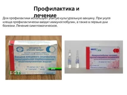 Иммуноглобулин помогает ли