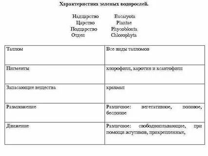Общая характеристика отделов