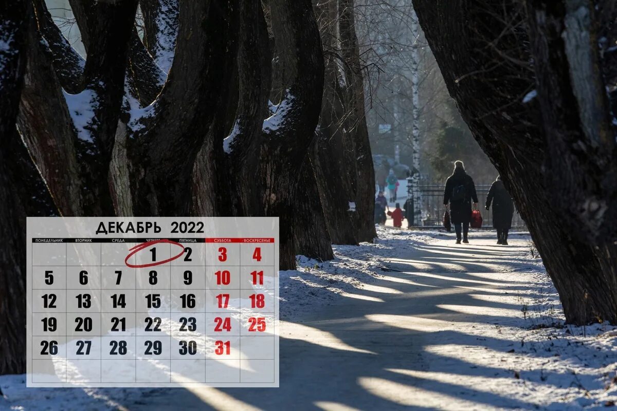 Изменения с декабря 2014. Декабрь 2022. Декабрь. Календарь декабрь. Декабрь 2022 года.