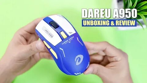 Dareu