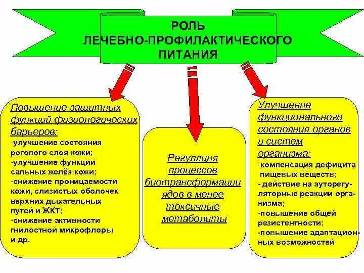 Цель профилактического питания. Лечебно-профилактическое питание. Роль лечебного питания. Продукты лечебно профилактического питания. Цель и виды лечебно-профилактического питания.