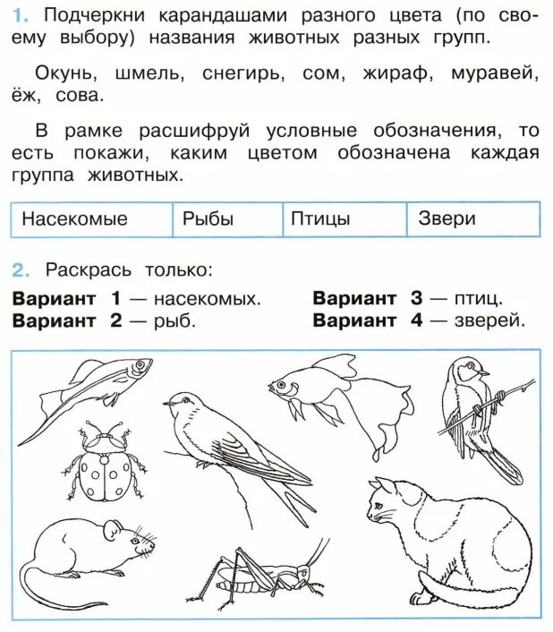 Покажи на схеме при помощи стрелок какое. Проверочная по окружающему миру 1 класс Плешаков птицы. Окружающий мир 2 класс задания. Задание ИПО окружающему миру 2 кбласс. Задачи по окружающему миру 2 класс.