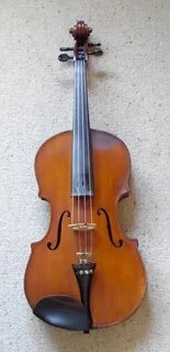 Viole