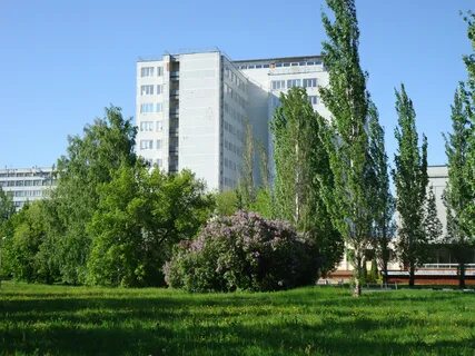 Управляющей тольятти