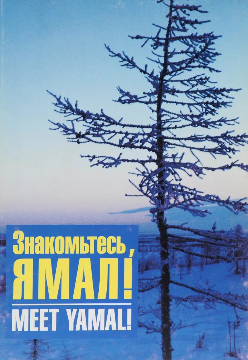 Читающий ямал. Книги о ямале. книжки о ямале. по просторам ямала книга.