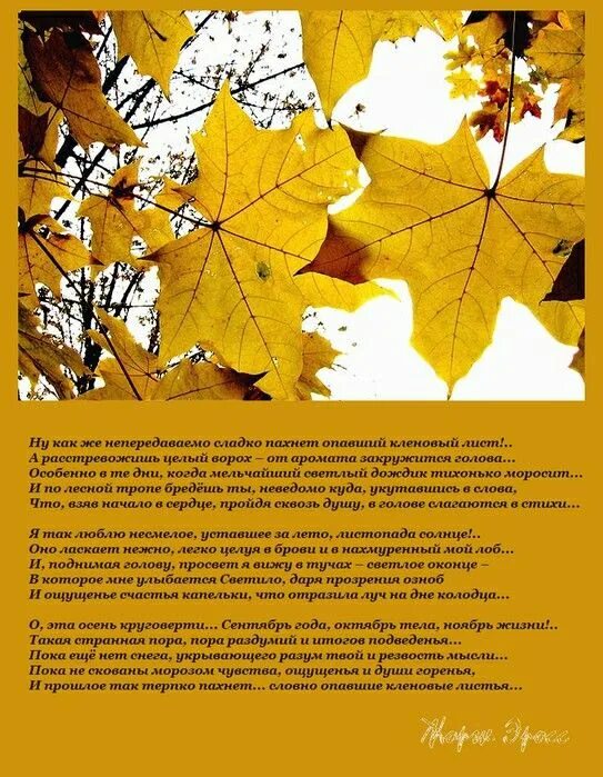 Песня листья падали с клена. Стих про кленовый лист. стих про осень на кленовом листе. стихи про осенние листья. стишки про осень на листике кленовом.
