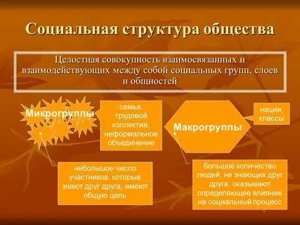 Дать характеристику социальной структуре общества