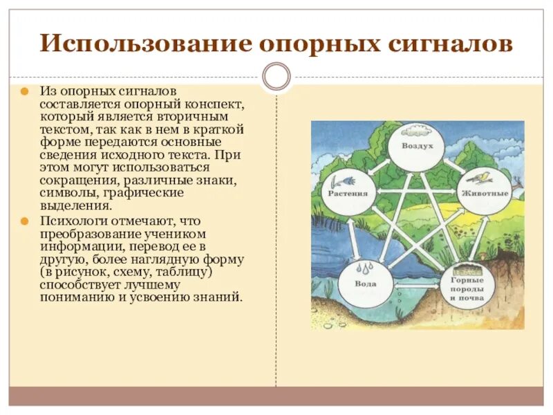 Опорный конспект по географии. Конспект опорных сигналов. Опорные сигналы по географии 8 класс Алексеев. Опорно сигнальная схема это. Разработка урока география 8 класс