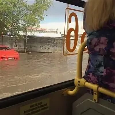 Фото табличек врачей. 25 автобус правда тишково. Тишково озеро план. Внедорожные маршруты подмосковья. Расписание автобусов правда тишково.