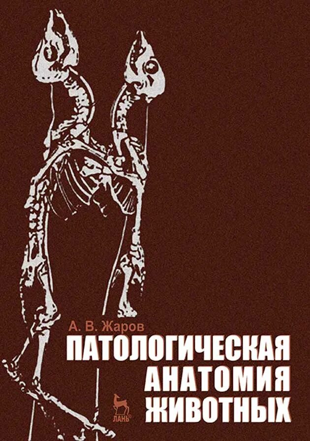 Пауков литвицкий патологическая анатомия и физиология. Патологическая анатомия животных учебник. Патологическая анатомия учебник. Анатомия животных учебник. Патологическая анатомия животных учебник.