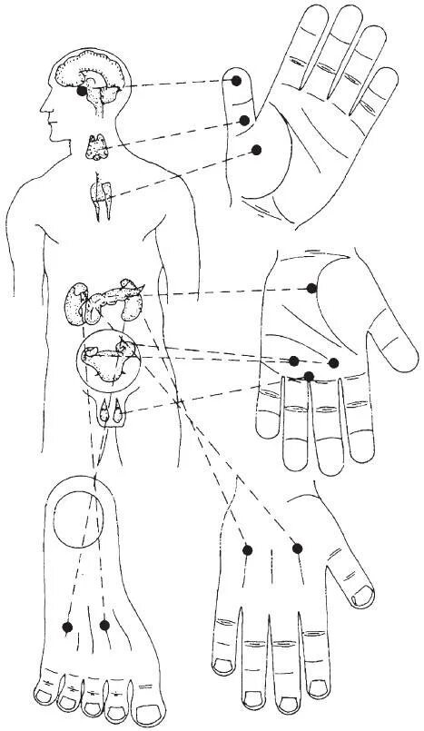 Су Джок точки акупунктуры. Точки на руках акупунктура ,Су-Джок. Точечный массаж Су Джок. Су Джок точки соответствия. Точки на руках для массажа