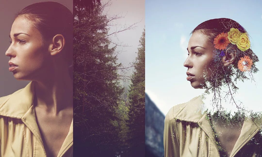 Edit models