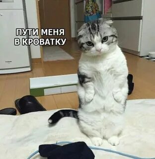 Пути отпусти