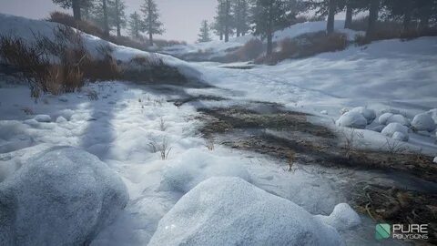 Winter for some environment