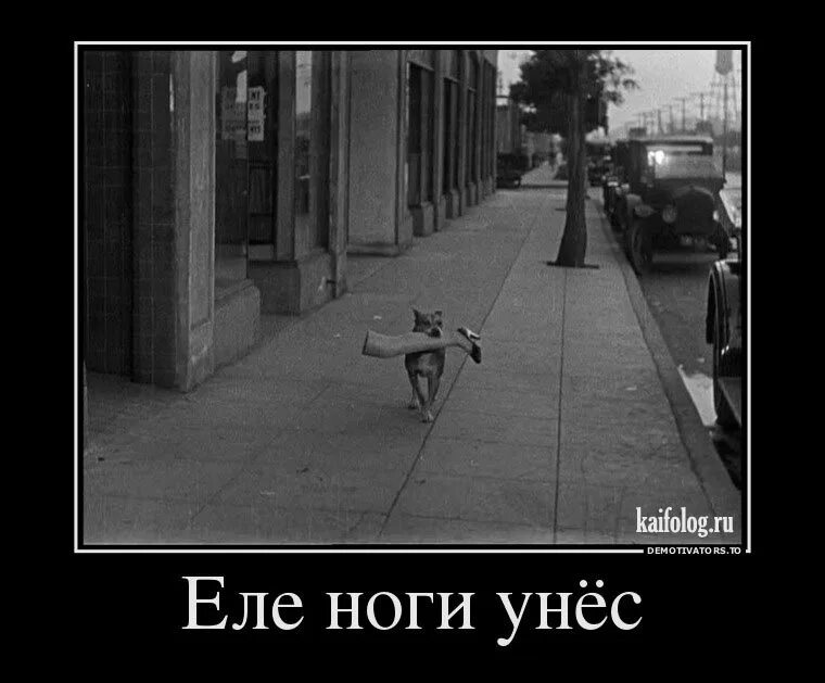 Унесу давай