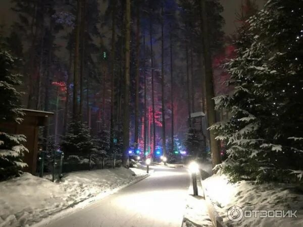 Ледовые катки в Питере в 2025 году: расписание, стоимость, адрес Tips&Trips