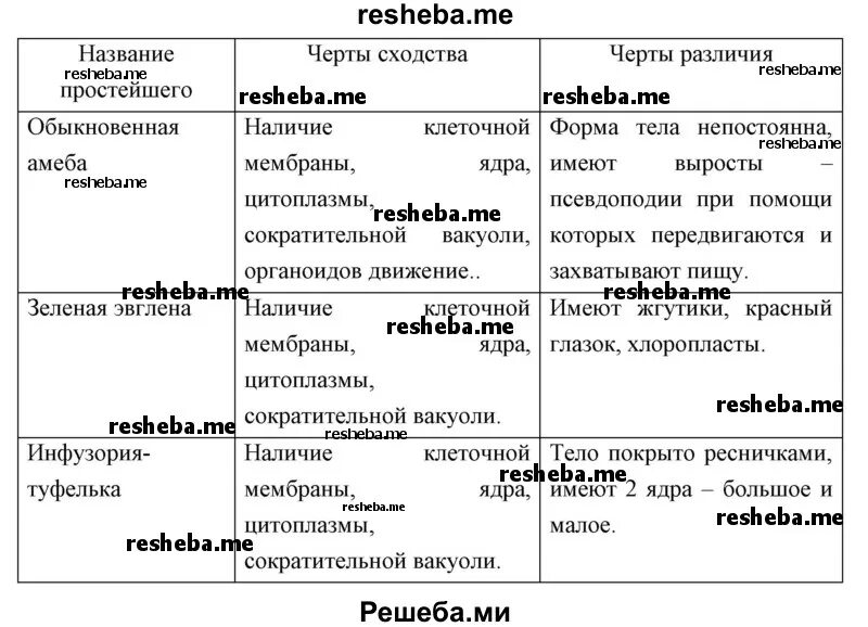 Сходства и различие простейших. Черты сходства и различия таблица. Черты сходства и различия в строении простейших. Черты сходства и черты различия. Черты сходства и различия простейших.