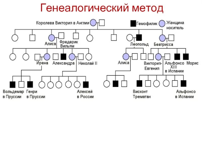 Статистика тестов на отцовство. Схема происхождения человека. Родословная с заболеваниями по генетике. Близкородственные браки. Двоюродные брат и сестра в генетике.