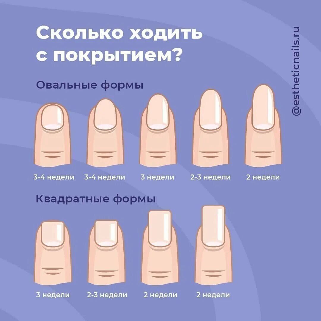 Цвет ногтей и их значение. Срок носки гель лака на ногтях. сколько ходить с покрытием. какая длина должна быть у ногтей на разных пальцах. какой длины бывают ногти в 11 лет.