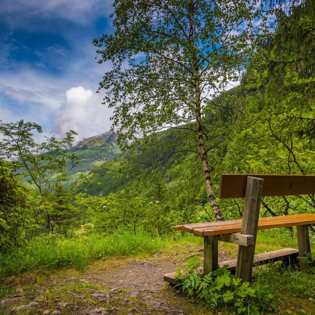 Скамейка пейзаж. Зеленый лес скамейка. абхазия скамейки. зелень красивая для картин для умиротворения. скамейка красивая на лугу.