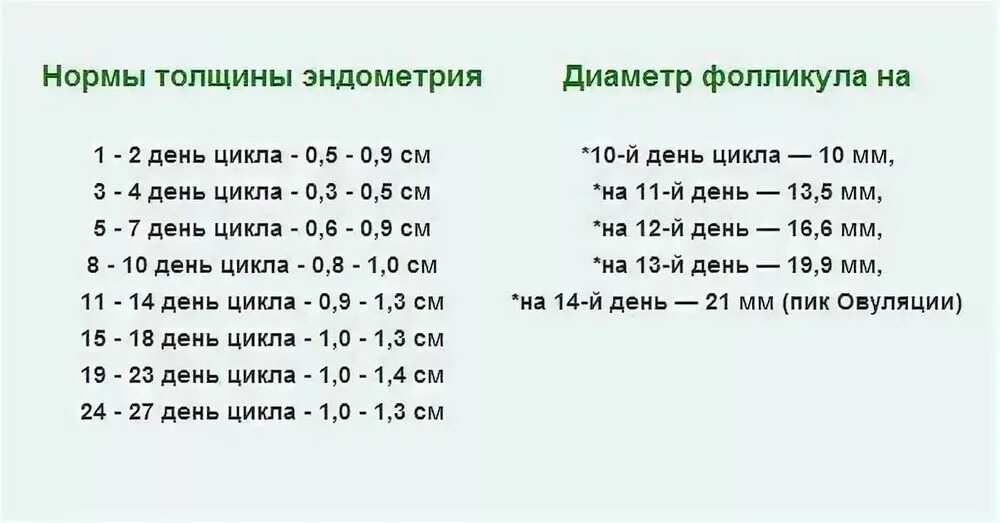 Овуляция после 35. Размеры эндометрия по дням цикла норма таблица. Толщина эндометрия по дням цикла норма таблица. Нормы эндометрия по дням цикла в мм таблица. Норма толщины эндометрия матки по дням цикла.