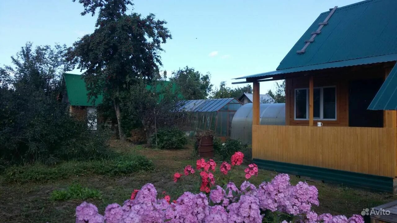 Предлагать. Березняки дачи. Тараскуль дома. Дачи огурдино березники. Березники дома.