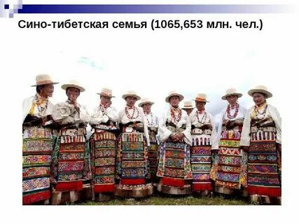 Сино тибетская семья