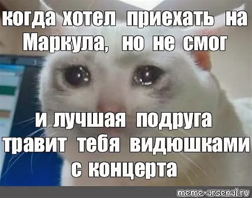 Хочешь приезжай девушке. Приезжай никого нет дома мем. Скучаю. Смешные переписки парня и девушки про месячные. Я скоро приеду к тебе.