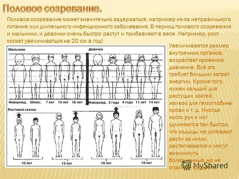 половое созревание у девочек. рост и развитие человека. рост и развитие ребенка половое созревание. характеристика полового созревания. половое развитие детей.