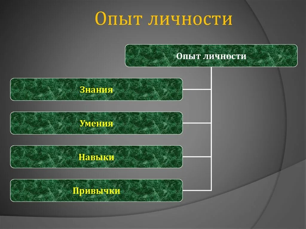 Опыт человека примеры. Знания умения опыт. Знание навык умение опыт. Знания умения навыки личности. Навыки умения способности опыт.