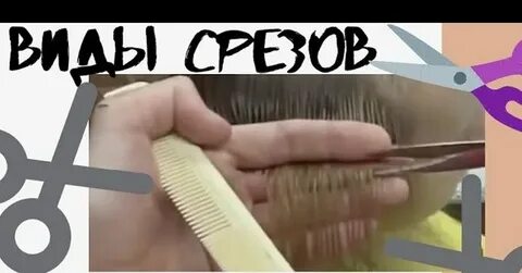 Внутренний срез