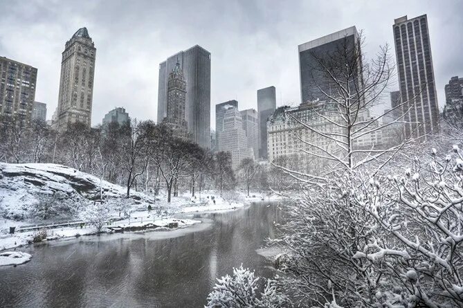 Winter in Central Park, New York City Ambience City Sounds, Bird Sounds. Park So