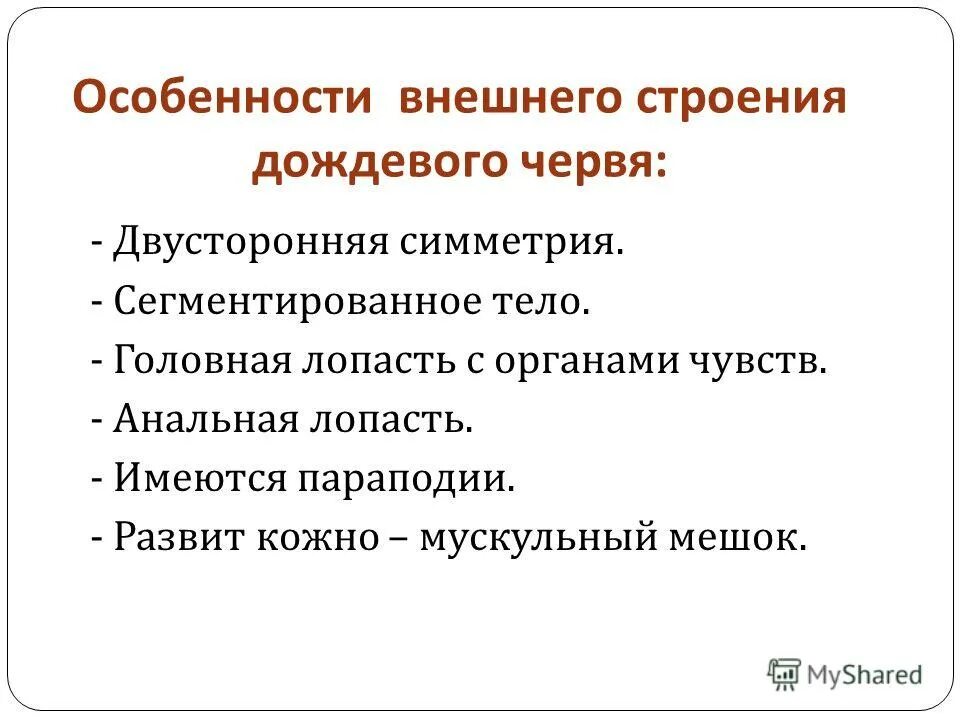 Черты червякова. Особенности строения дождевых червей. Признаки дождевого червя. Земляной червь особенности. Признаки дождевых червей.