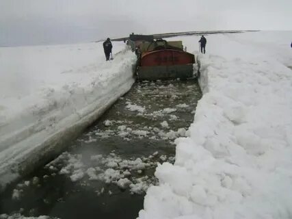 Ставить лед