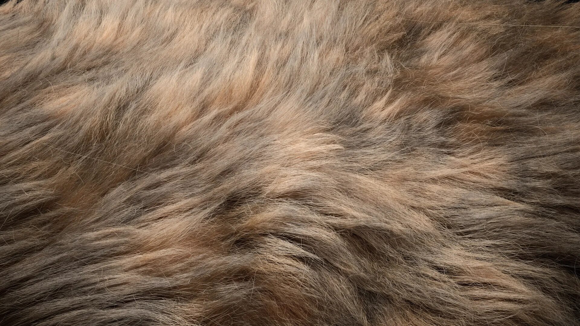Текстура шерсти 256x256. Corona hair and fur. Fur in3d. Ornatrix мех со складками. Шерсть перенос