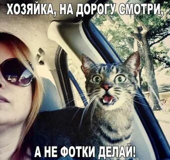 Приколы за рулем
